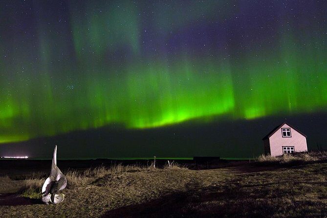 Blue Lagoon and Northern Lights Tour Including Admission - Timing and duration: building a realistic day plan