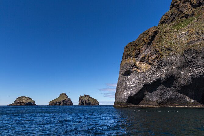 Boat Tour in Vestmannaeyjar - Wildlife watching: puffins, seabirds, and the reality of distance