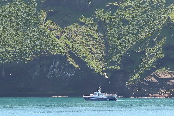 Boat Tour in Vestmannaeyjar - Price and value: is $114.65 worth it?