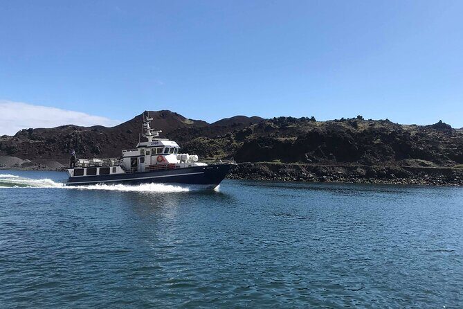 Boat Tour in Vestmannaeyjar - Meeting point and timing: Tangagata 7, 2:15 pm