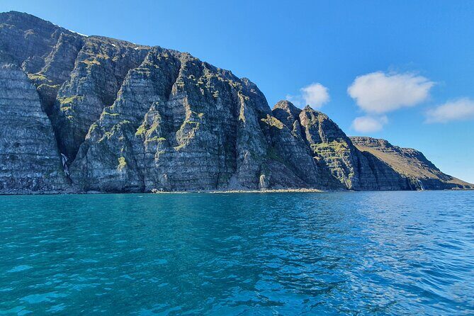 Boat Tours from Siglufjörður - Key Highlights You’ll Care About
