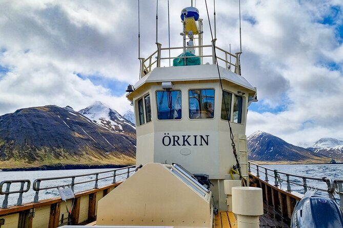 Boat Tours from Siglufjörður - East into Héðinsfjörður: Stories, Sea Conditions, and Big Cliff Energy