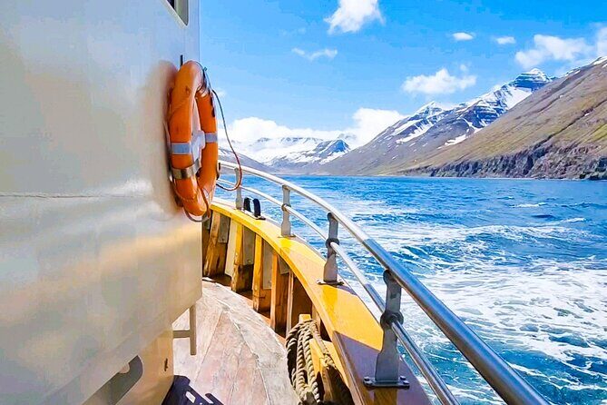 Boat Tours from Siglufjörður - Heading North: Selvíkurviti, Siglunes, and Strákagöng Tunnel Views