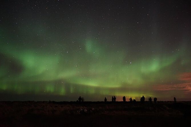 Chasing Aurora Borealis with Warmth and Treats in Premium Tour! - Price and Value: Why $249 Can Make Sense