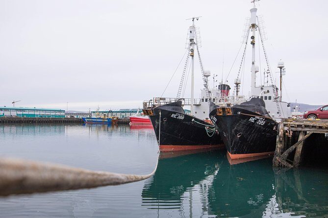 City Sightseeing Reykjavik Hop-On Hop-Off Bus Tour: 24 or 48-Hour - FAQ