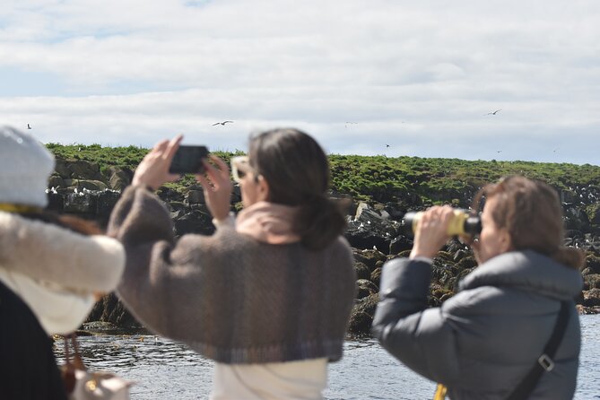Classic Puffin Watching Cruise from Downtown Reykjavík - The puffin island stop: Engey, Akurey, or Lundey from close water