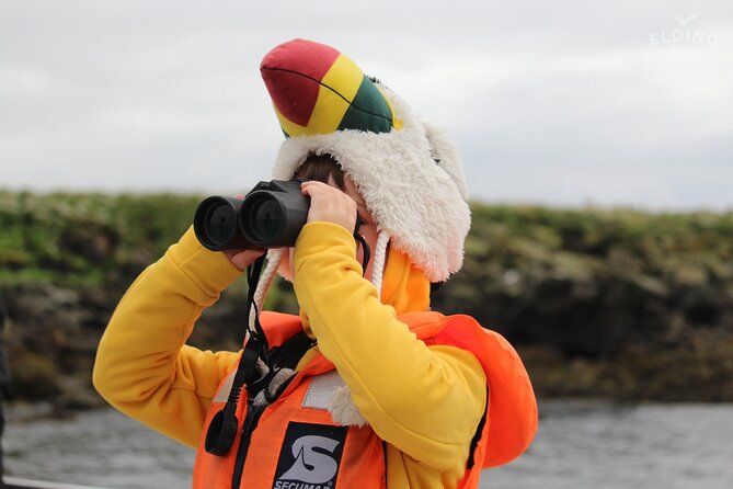 Classic Puffin Watching Cruise from Downtown Reykjavík - Live English guidance that actually helps you spot birds