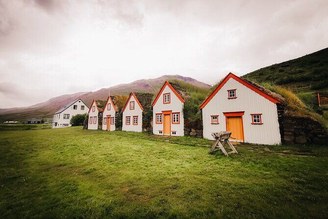 Cruise Tour Godafoss Turf Houses and Forest Baths Small Group - Who this Akureyri tour suits best