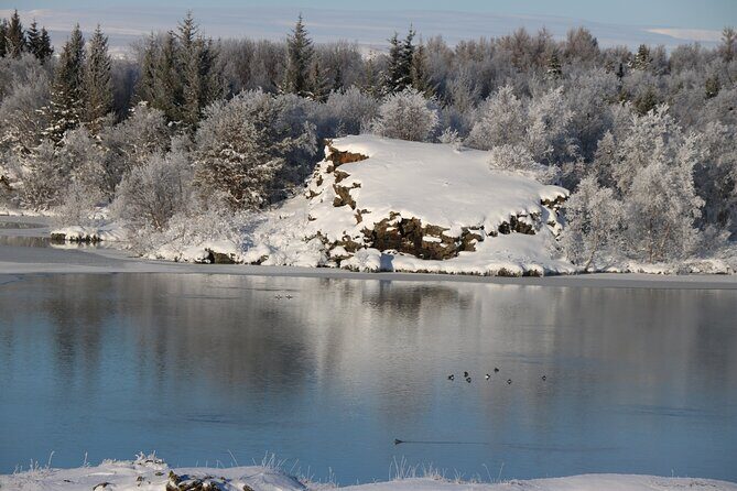 Day Trip to Lake Mývatn And The Nature Baths from Akureyri - Hverir Geothermal Field: Boiling Mud, Steam, and the Flies Factor