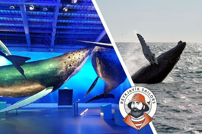 Deluxe Whale Watching and Whales of Iceland Exhibition Combo from Reykjavik - What this tour is best for (and what to think twice about)