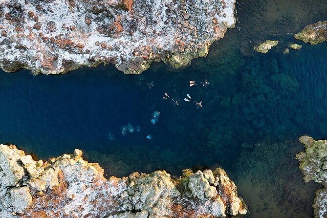 Dive the Divide: Silfra Fissure Scuba Tour | Meet at Thingvellir - After You Surface: Hot Chocolate, Cookies, and Clothes That Actually Matter