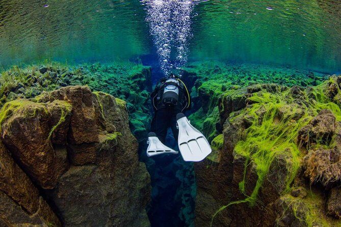 Dive the Divide: Silfra Fissure Scuba Tour | Reykjavik Pickup - Reykjavik Pickup To Thingvellir: why the drive is part of the experience