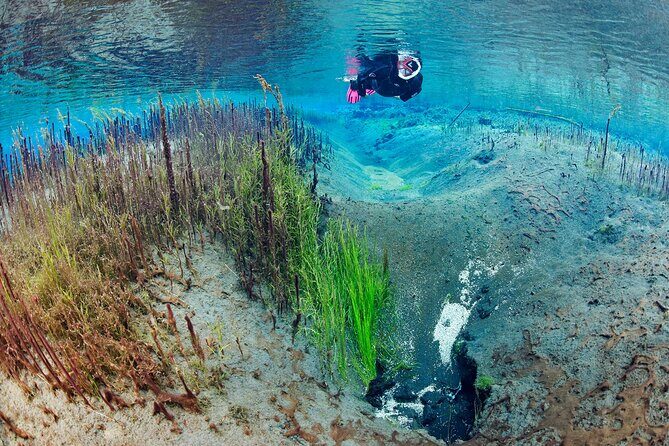 Double Snorkeling Adventure near Húsavík in North Iceland - How the double snorkeling day flows (and why timing works)