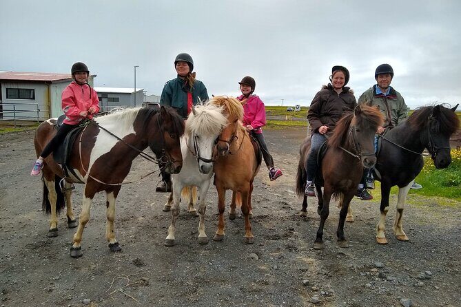 Experience Countryside of Iceland by Horseback Riding - Price and value: is $207 fair for this 3-hour ride?