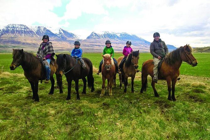 Family Friendly Horse Riding Tour in Skagafjörður - Key highlights