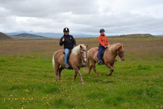 Family Friendly Horse Riding Tour in Skagafjörður - Gear Rental and a Hot Drink: The Warmth That Actually Helps