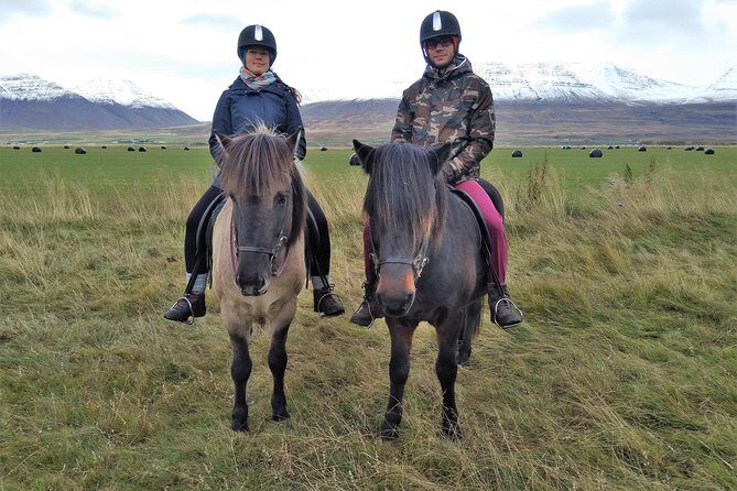 Family Friendly Horse Riding Tour in Skagafjörður - The One-Hour Ride: What You’ll Do on the Trail