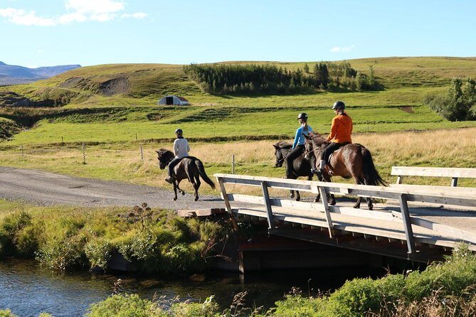 Family Friendly Horse Riding Tour in Skagafjörður - Safety and Comfort for Families and First-Timers