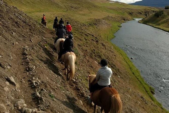 Family Friendly Horse Riding Tour in Skagafjörður - Price and Value: Is $90.05 Worth It?