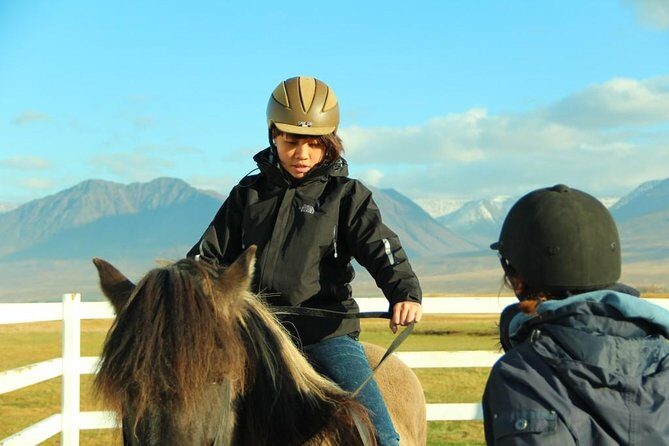 Family Friendly Horse Riding Tour in Skagafjörður - Weather, Timing, and What to Wear for a 4:00 pm Start