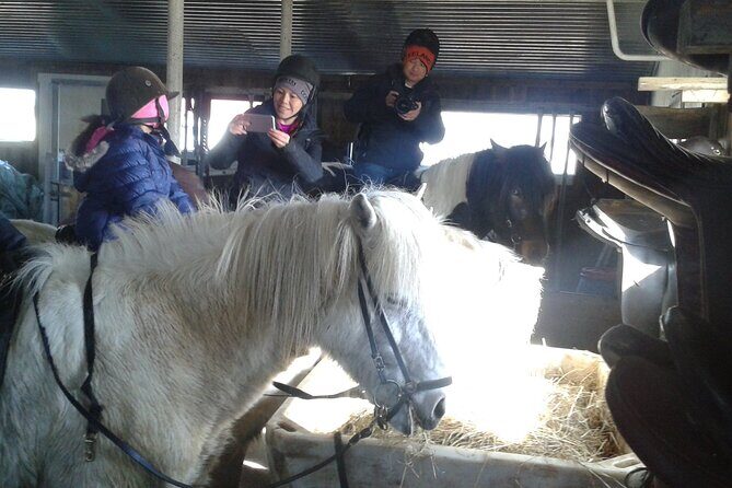 Family Horse Riding Tour in Thorlakshofn - Key highlights and what matters most
