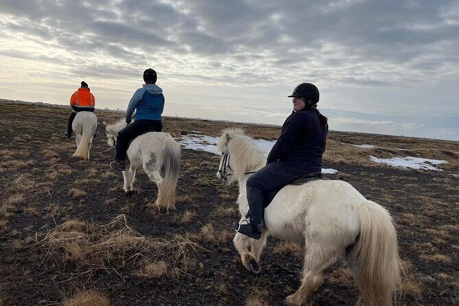 Family Horse Riding Tour in Thorlakshofn - What’s included (and what you should bring anyway)
