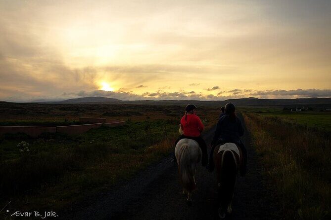 Family Horse Riding Tour in Thorlakshofn - The café break: Snacks, warmth, and horse-friendly timing
