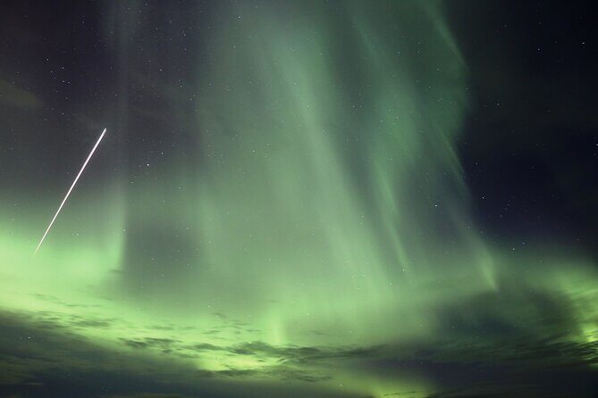 Forest Lagoon and Northern Lights Guided Night Tour - Key highlights you should care about