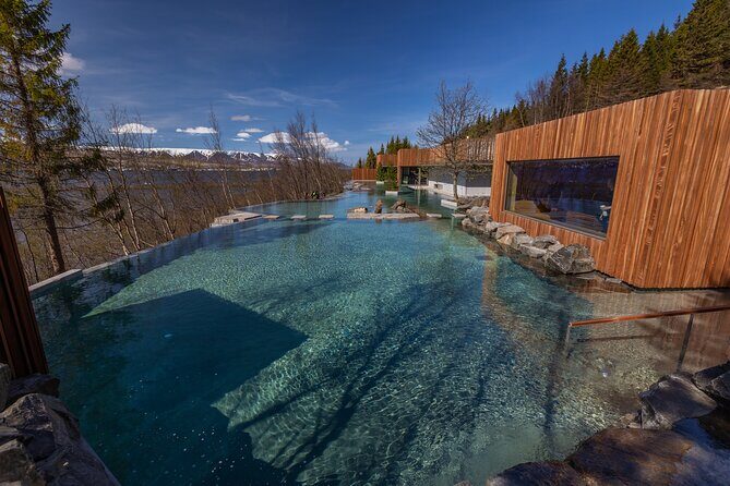 Forest Lagoon and Northern Lights Guided Night Tour - Price and Value: Why $176 Feels Fair for a 4h 30m Winter Night