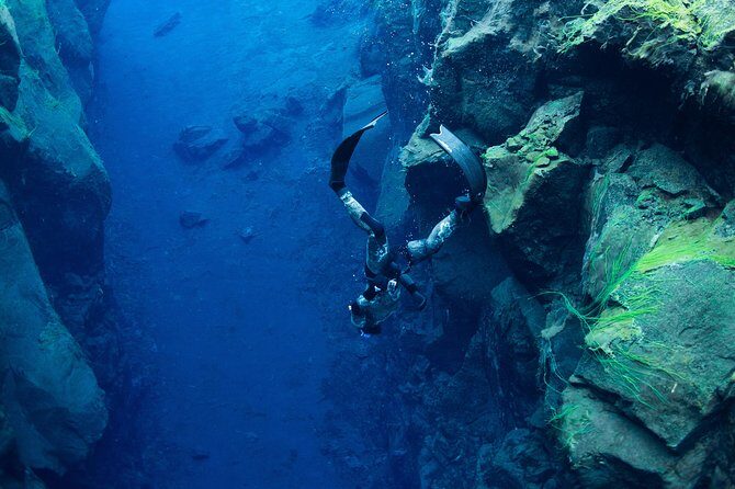 Freedive Silfra Half Day Tour - Key Highlights Worth Planning For