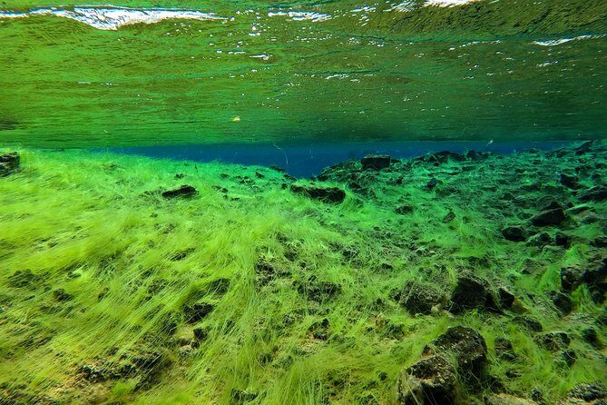 Freedive Silfra Half Day Tour - Silfra Between Two Continents: The Reason This Trip Works