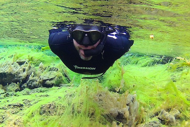 Freedive Silfra Half Day Tour - Warm-Up Details: Hot Cocoa Makes the Difference