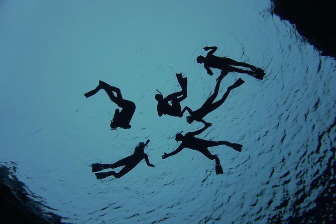 Freedive Silfra Half Day Tour - Price and Value: Is $233.50 Reasonable for This Setup?