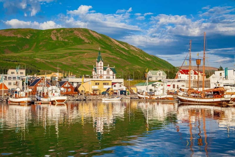 From Akureyri Port: Diamond Circle Guided Day Trip w/ Lunch - Dettifoss: Where the Day Turns Loud and Unforgettable