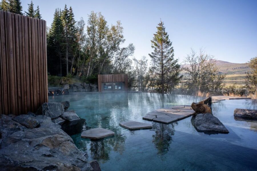 From Akureyri Port: Goðafoss Waterfall & Forest Lagoon Tour - What You Get for $235: Value From Admissions and a Proper Soak