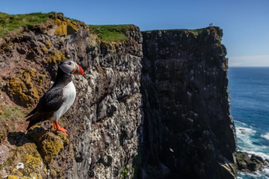 From Reykjavík: 3-Day Tour of the Wild Westfjords - Key things to know before you go