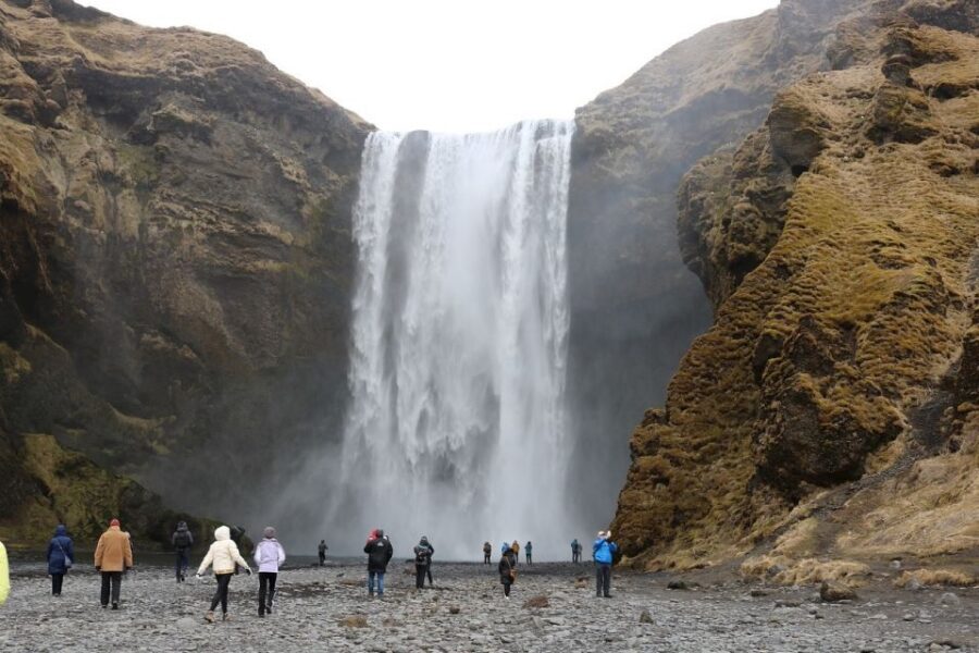 From Reykjavik: 6-Day Small Group Tour of Iceland - Day 4: East Fjords wildlife search and local stories