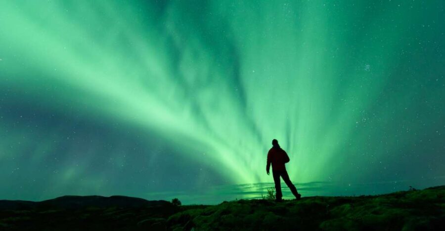 From Reykjavik: Blue Lagoon and Northern Lights Tour - Why This Winter Combo Works: Geothermal Calm and Aurora Night