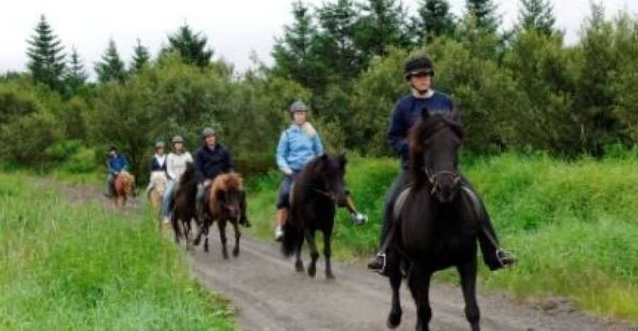 From Reykjavik: Full-Day Horse Riding & Golden Circle Tour - Key things I’d put at the top