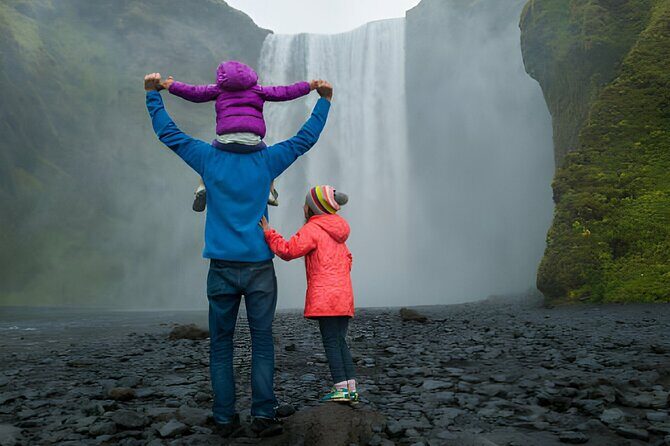 From Reykjavik: Full Day Private South Coast Tour in Iceland - Dyrhólaey viewpoint: seasonal views from the cliffs