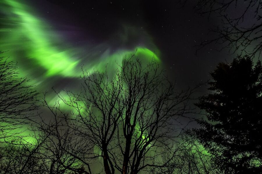From Reykjavik: Golden Circle and Northern Lights Tour - Northern Lights hunt: a trained guide, a real camera lesson, and patient waiting