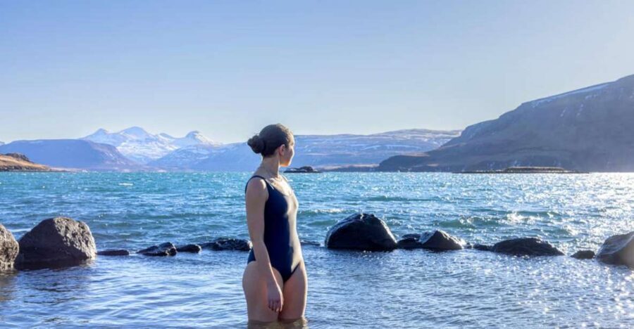 From Reykjavík: Golden Circle Route & Hvammsvik Hot Spring - Golden Circle by minibus: why this day feels efficient