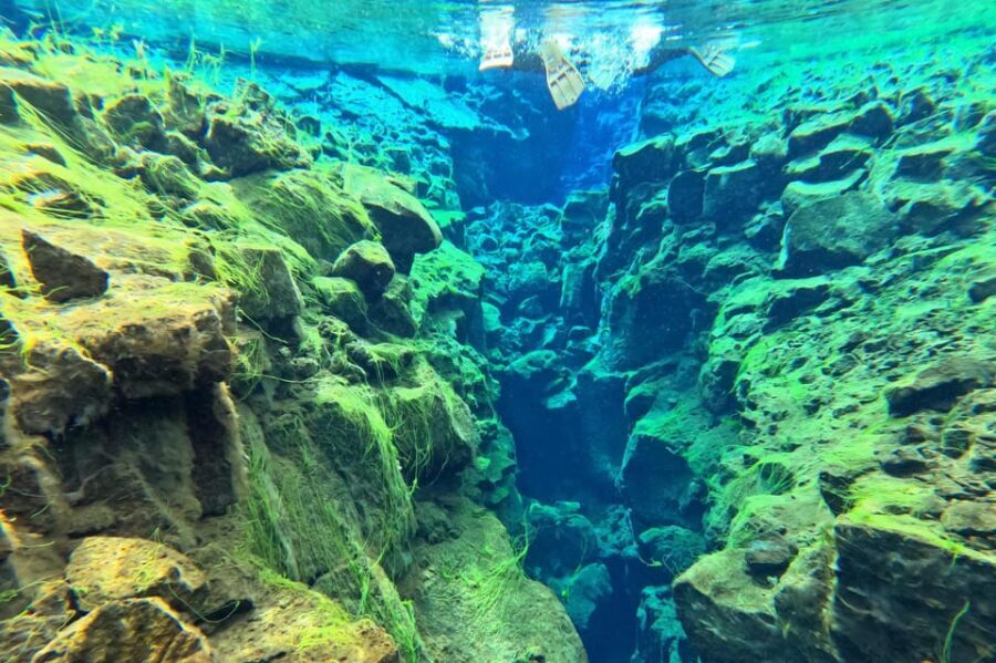 From Reykjavík: Golden Circle Tour and Silfra Snorkeling - Price and value: is $305 a fair deal for this full-day combo?