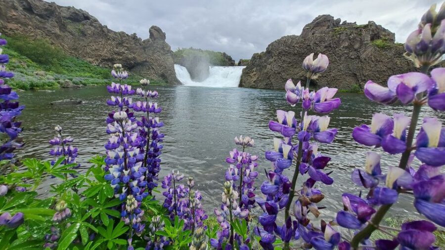 From Reykjavik: Highlands Jeep Tour & Landmannalaugar Hike - Key highlights you’ll feel all day