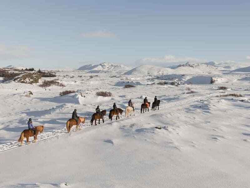From Reykjavík: Icelandic Horse Riding Tour in Lava Fields - Meet Íshestar Stables: Where the ride starts and the comfort kicks in