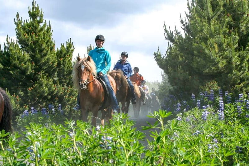 From Reykjavík: Icelandic Horse Riding Tour in Lava Fields - Icelandic horses and tölt: what you’ll feel in the saddle