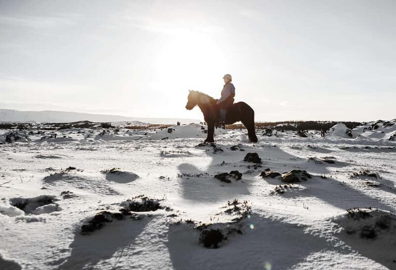 From Reykjavík: Icelandic Horse Riding Tour in Lava Fields - Riding through lava fields: the views are volcanic, but the details are human