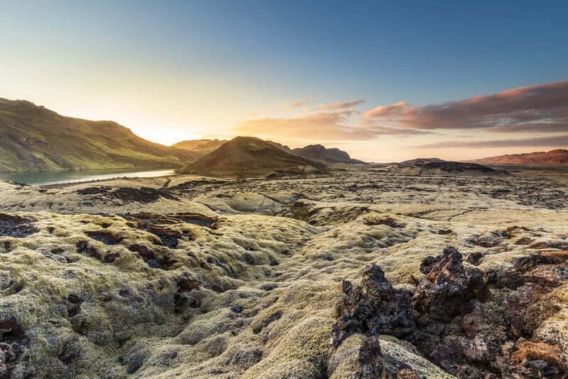 From Reykjavík: Icelandic Horse Riding Tour in Lava Fields - The value question: is $141 worth it?