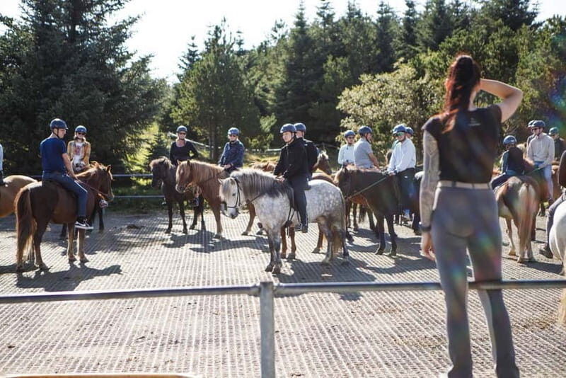 From Reykjavík: Icelandic Horse Riding Tour in Lava Fields - Practical tips: stay warm, avoid bag trouble, and ride smarter