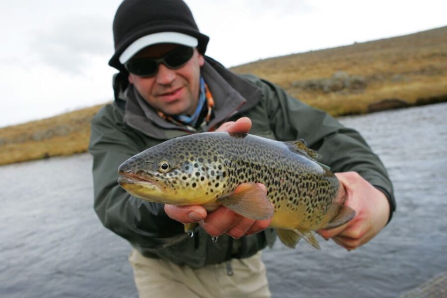 From Reykjavik: Lake and River Fishing Tour - Spin vs fly fishing: you choose, and your guide adapts